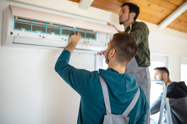 Best Solar-powered HVAC Systems in Litchfield, MN